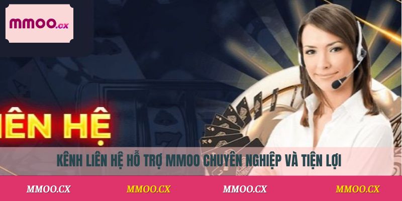 Kênh liên hệ MMOO chuyên nghiệp và tiện lợi