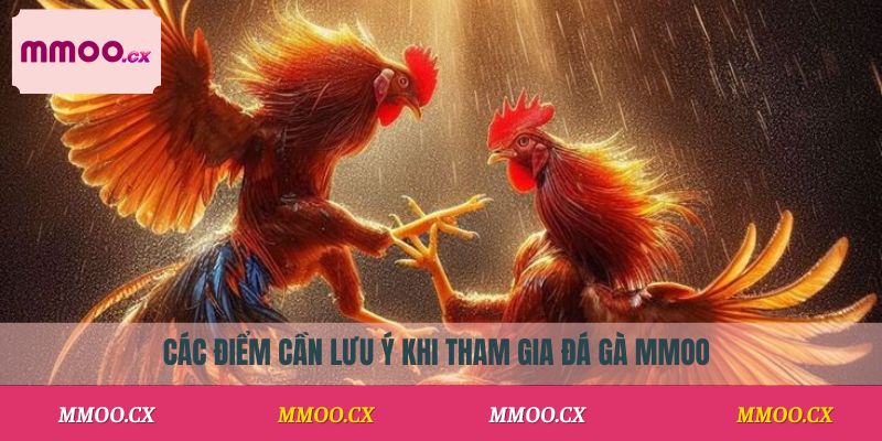 Những Lưu Ý Quan Trọng Khi Chơi Đá Gà Tại MMOO