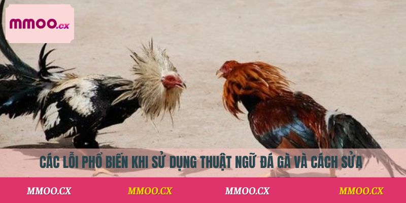 Các lỗi phổ biến khi sử dụng thuật ngữ đá gà và cách sửa