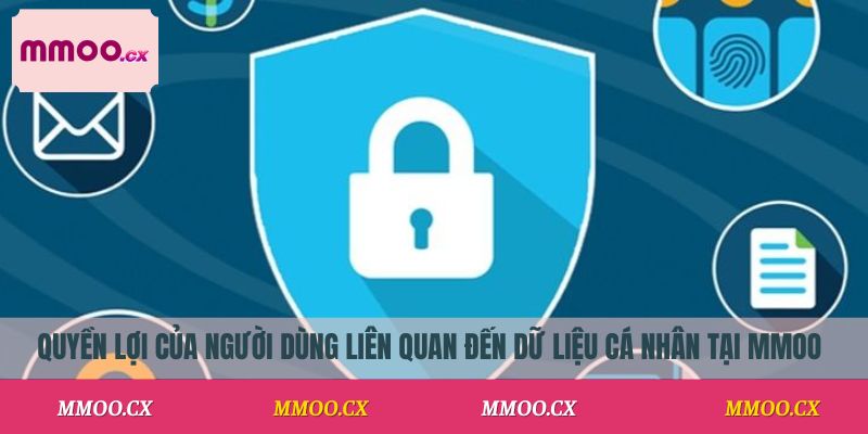 Quyền lợi của người dùng liên quan đến dữ liệu cá nhân tại MMOO
