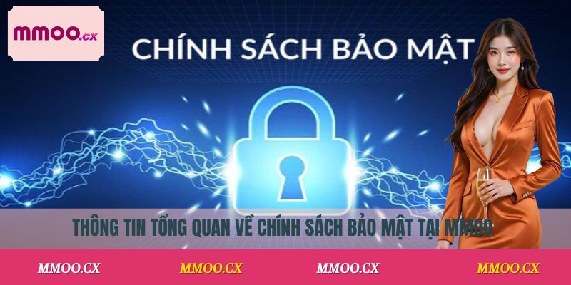 Thông tin tổng quan về chính sách bảo mật tại MMOO