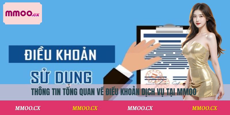Thông tin tổng quan về điều khoản dịch vụ tại MMOO