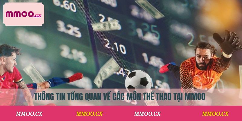 Thông tin tổng quan về các môn thể thao tại MMOO